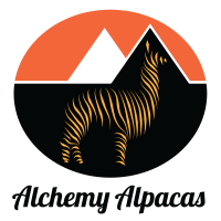 Logo: Alchemy Alpacas logo